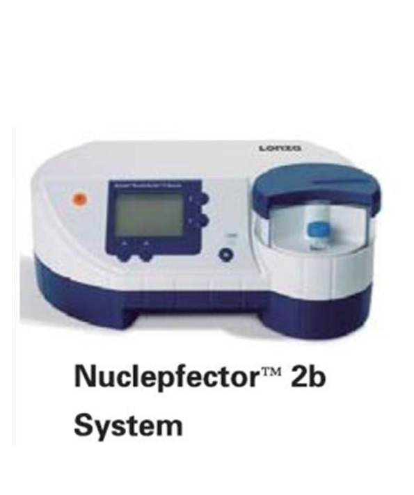 Lonza Amaxa Lonza Nucleofector 2b Ii 细胞核转染仪 上海启文生物科技有限公司